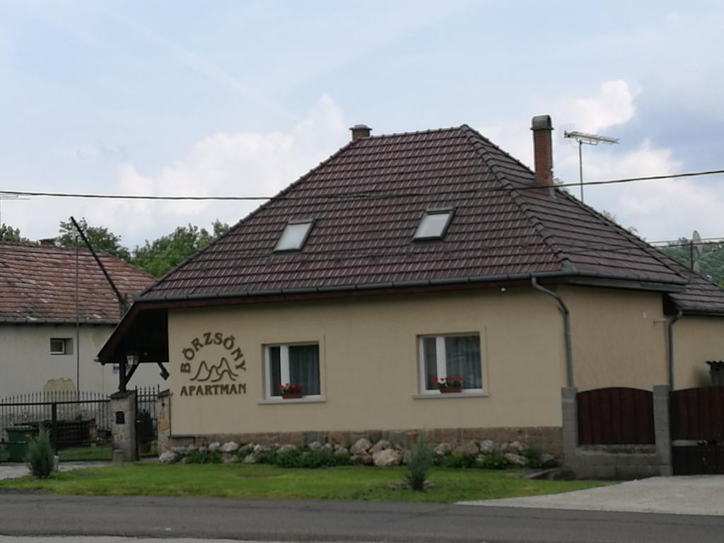 Boerzsoeny *